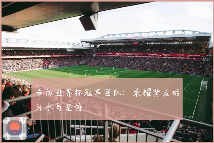 专访世界杯冠军团队：荣耀背后的汗水与坚持