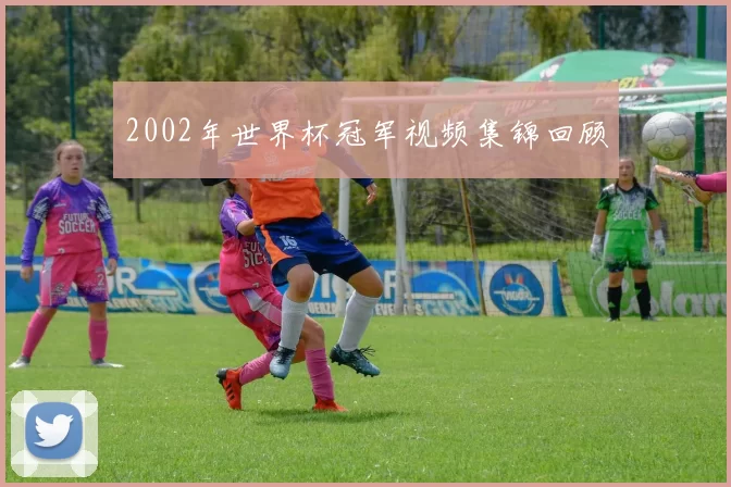 2002年世界杯冠军视频集锦回顾