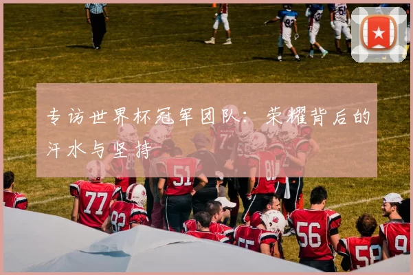 专访世界杯冠军团队：荣耀背后的汗水与坚持
