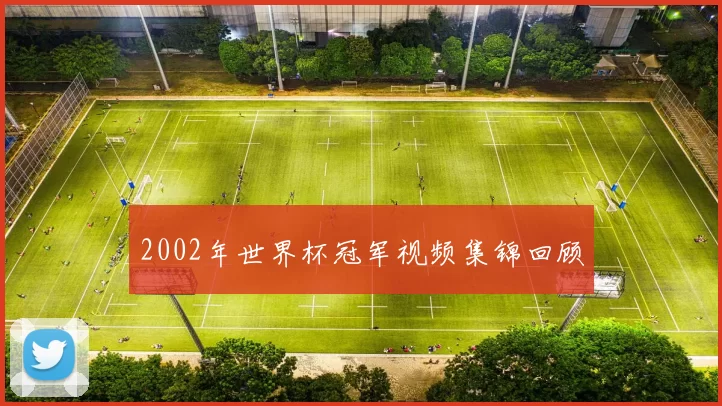 2002年世界杯冠军视频集锦回顾