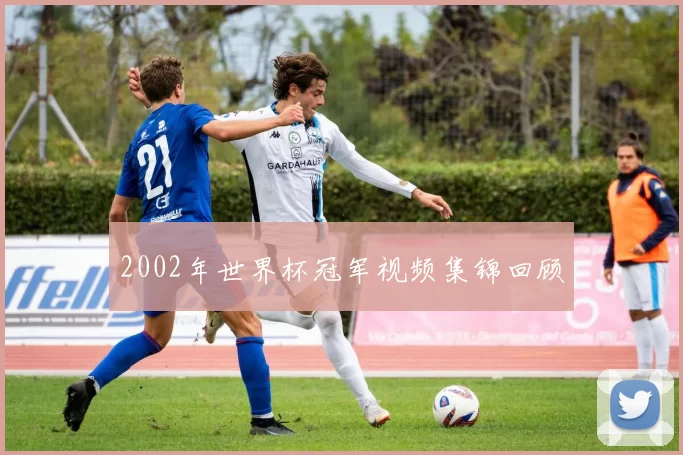 2002年世界杯冠军视频集锦回顾