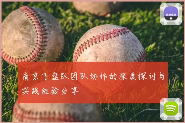 南京飞盘队团队协作的深度探讨与实践经验分享