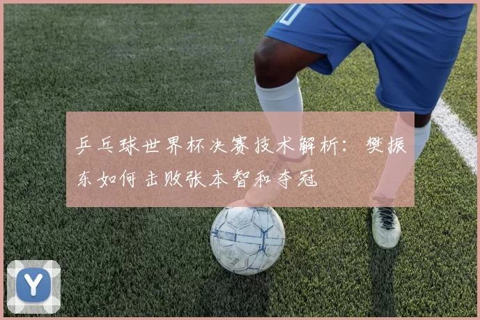 乒乓球世界杯决赛技术解析：樊振东如何击败张本智和夺冠