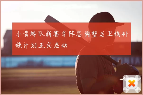 小黄蜂队新赛季阵容调整后卫线补强计划正式启动