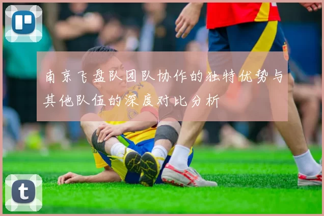 南京飞盘队团队协作的独特优势与其他队伍的深度对比分析