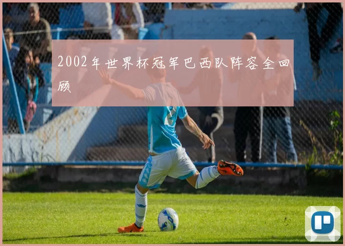 2002年世界杯冠军巴西队阵容全回顾