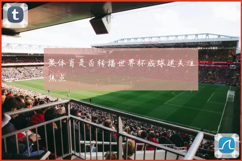 聚体育是否转播世界杯成球迷关注焦点