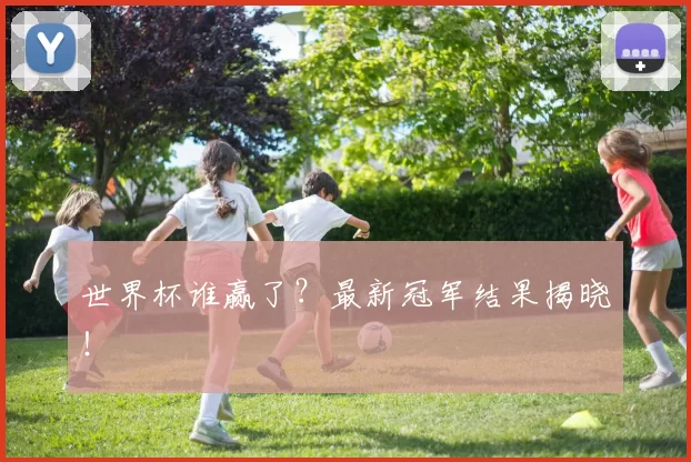 世界杯谁赢了？最新冠军结果揭晓！