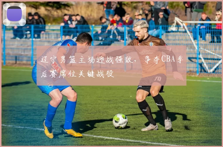 辽宁男篮主场迎战强敌，争夺CBA季后赛席位关键战役