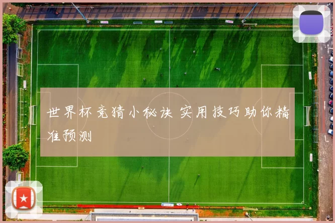 世界杯竞猜小秘诀 实用技巧助你精准预测