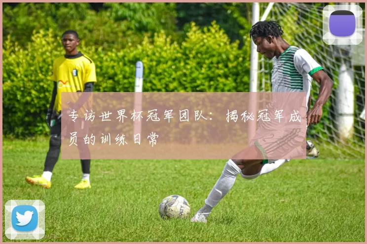 专访世界杯冠军团队：揭秘冠军成员的训练日常