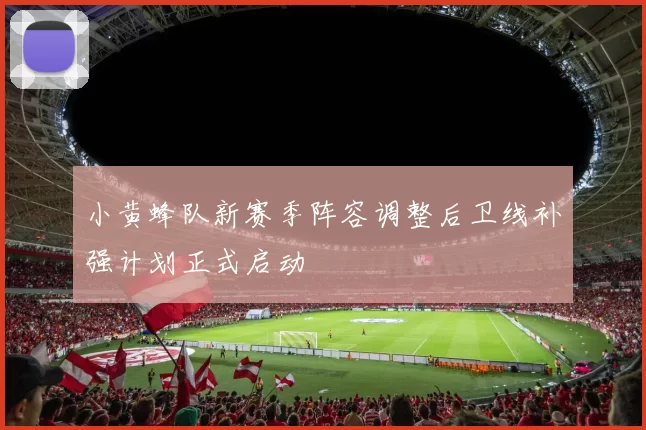 小黄蜂队新赛季阵容调整后卫线补强计划正式启动