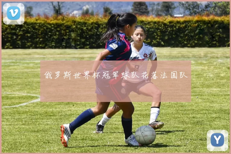 俄罗斯世界杯冠军球队花落法国队