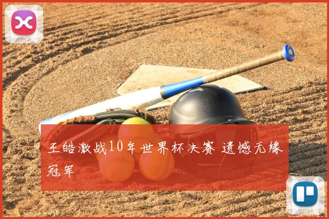 王皓激战10年世界杯决赛 遗憾无缘冠军