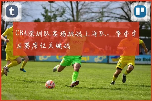 CBA深圳队客场挑战上海队，争夺季后赛席位关键战