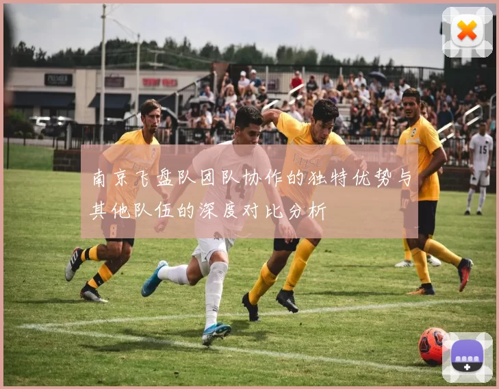 南京飞盘队团队协作的独特优势与其他队伍的深度对比分析